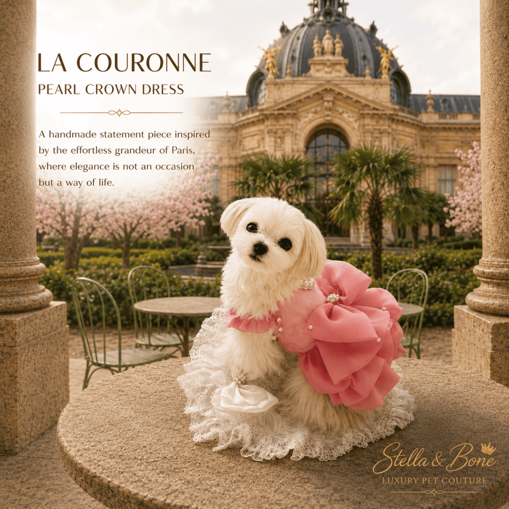 La Couronne Pearl Crown Dress — white Maltese in pink pearl and ruffle dog dress outside Paris museum