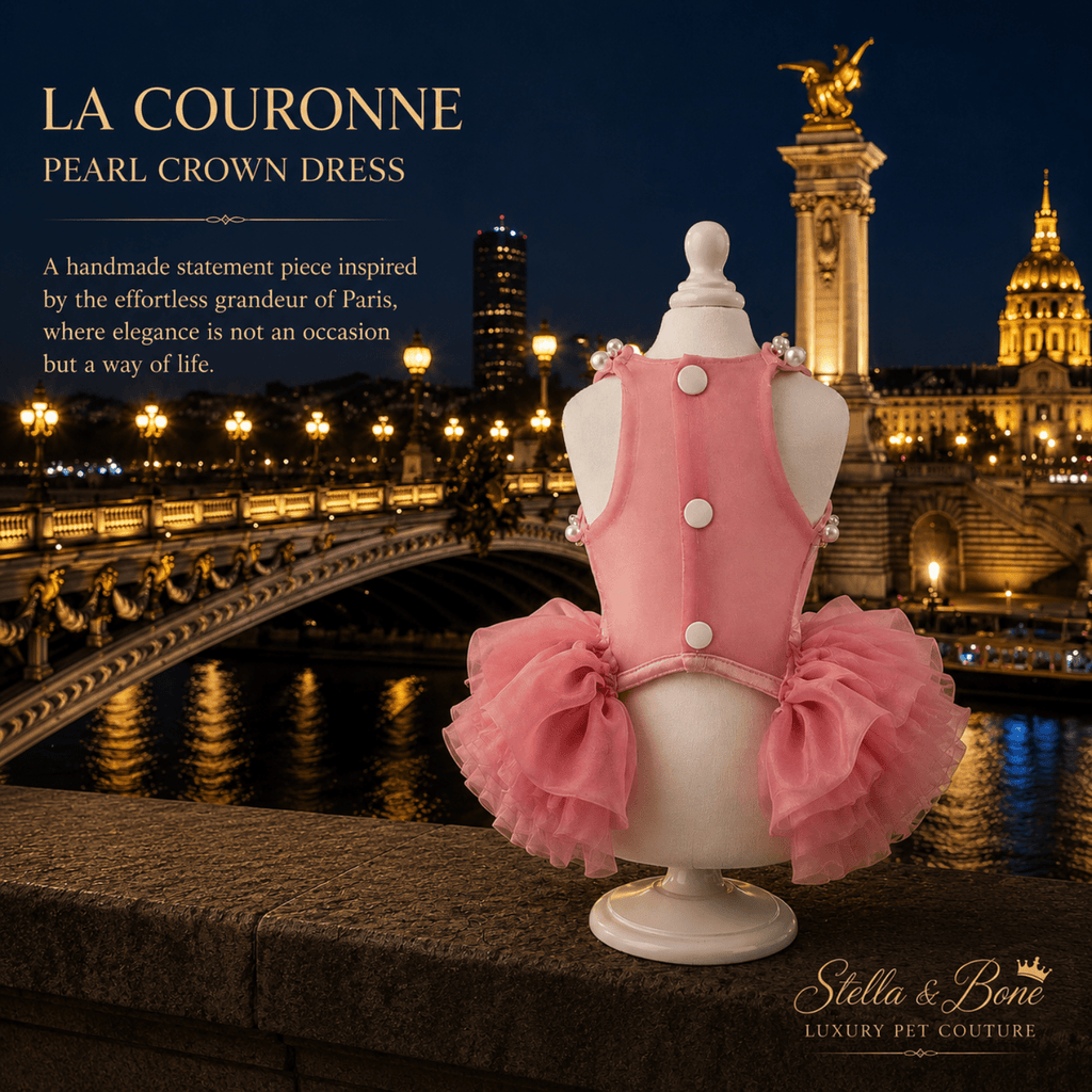 La Couronne Pearl Crown Dress — back view of pink tulle dog dress on mannequin at Paris bridge at night