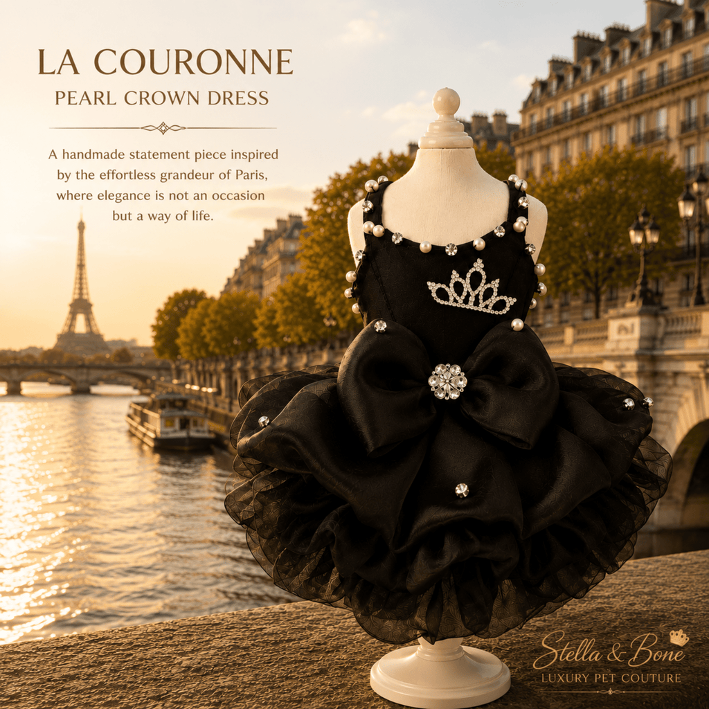 La Couronne Pearl Crown Dress — black layered ruffle dog dress with pearl crown brooch on Paris steps. Special occasions