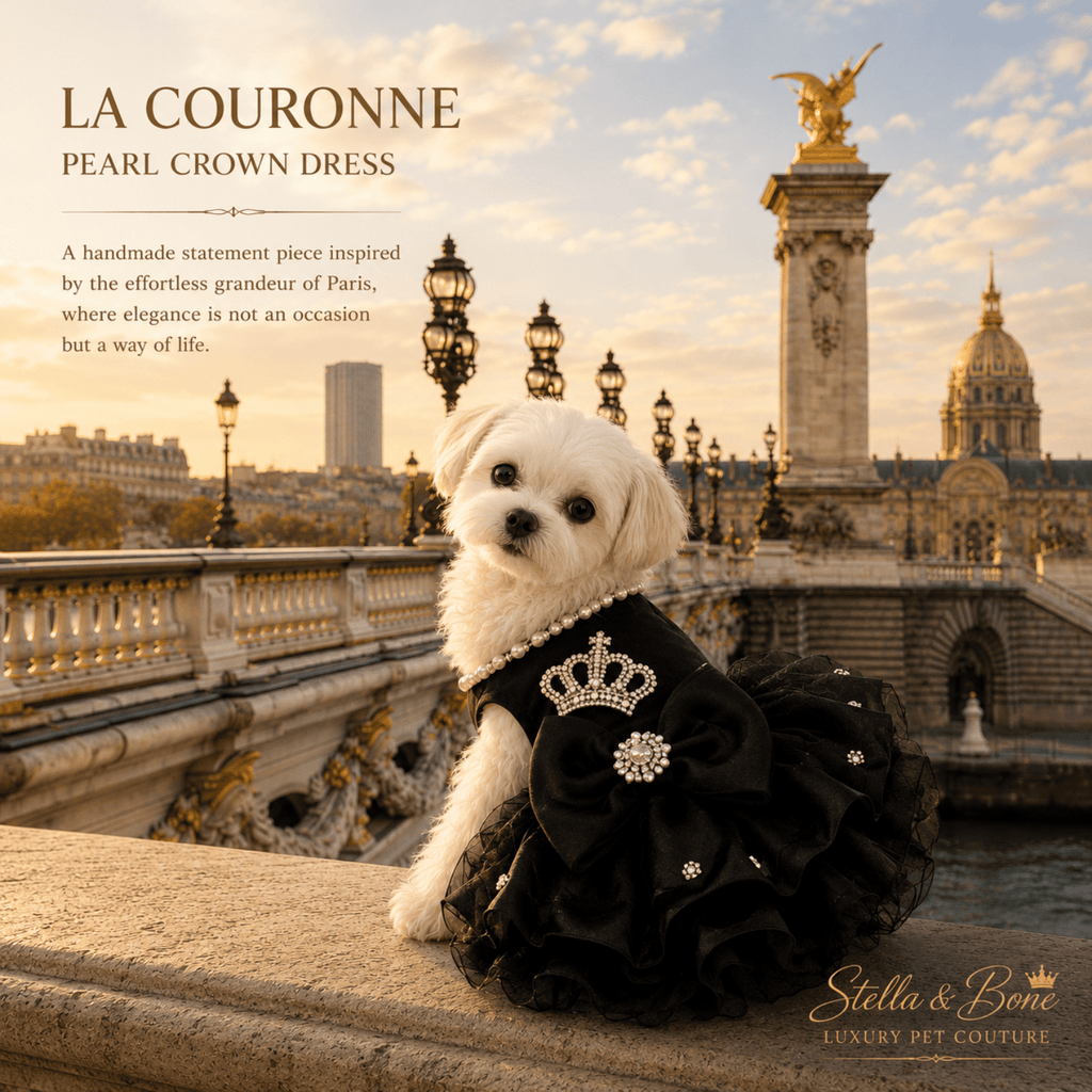 La Couronne Pearl Crown Dress — black organza ruffle dog dress with crystal bow on luxury Paris palace terrace