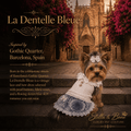 Yorkie in La Dentelle Bleue lace bow dress at Barcelona Gothic Quarter, perfect for garden weddings and birthday portraits