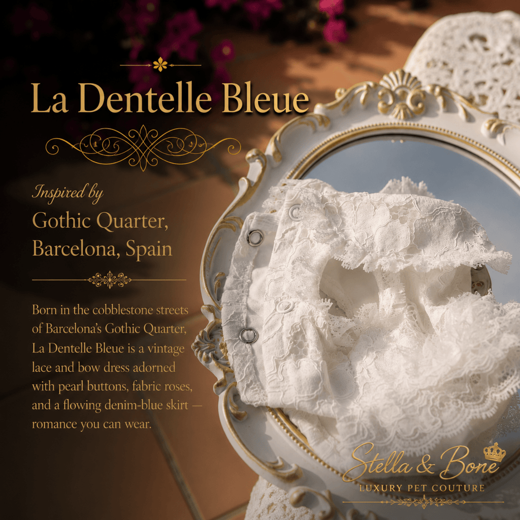 La Dentelle Bleue white lace dog dress on vintage gold mirror — romantic garden wedding and birthday dress