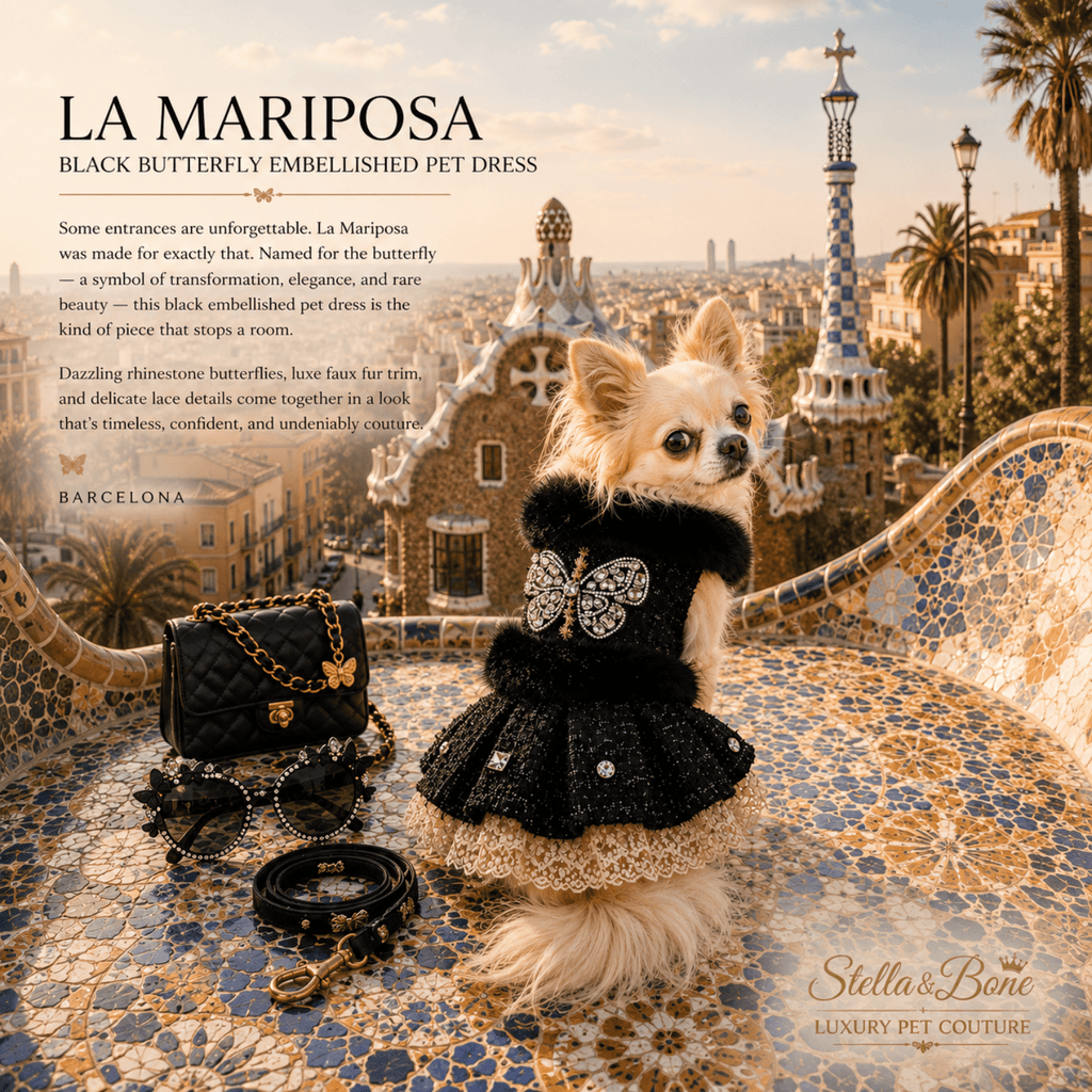 Small dog wearing La Mariposa, black butterfly themed dress. Dog birthday outfit luxury, black-tie, formal wear