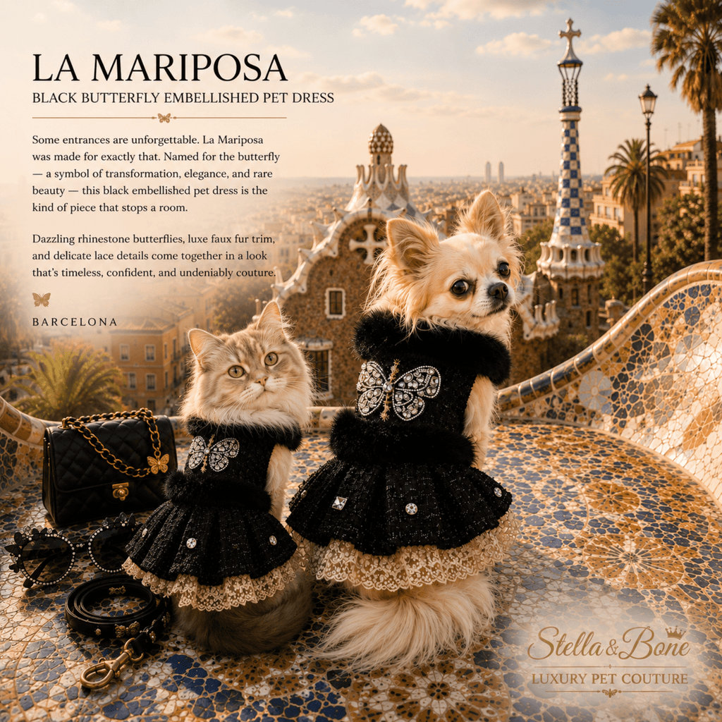 Dog and cat on a mosaic outdoor terrace wearing La Mariposa, matching black pet dresses with butterfly embellishments. 