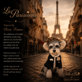 A dog wearing a leopard-print hat and a black embroidered pet jacket stands on a cobblestone street. La Parisienne.