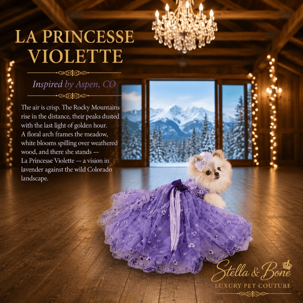 Pomeranian in La Princesse Violette purple dog gown in Aspen chandelier barn — luxury dog wedding gown for small dogs