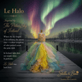 Le Halo, Pastel Organza Couture Dog Gown on a mannequin with stunning polar skies of Iceland. Perfect for special occasions