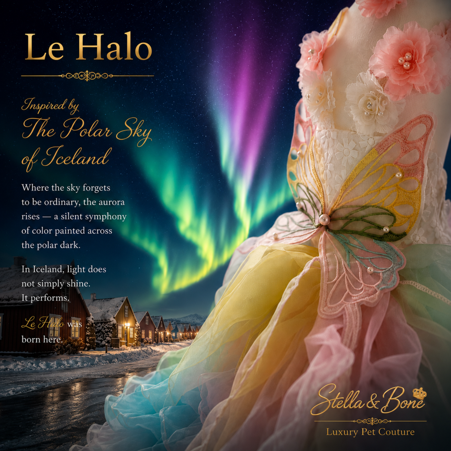 Detail closeup of Le Halo as the aurora borealis spills over the Iceland skies. Luxury dog couture curated by Stella and Bone