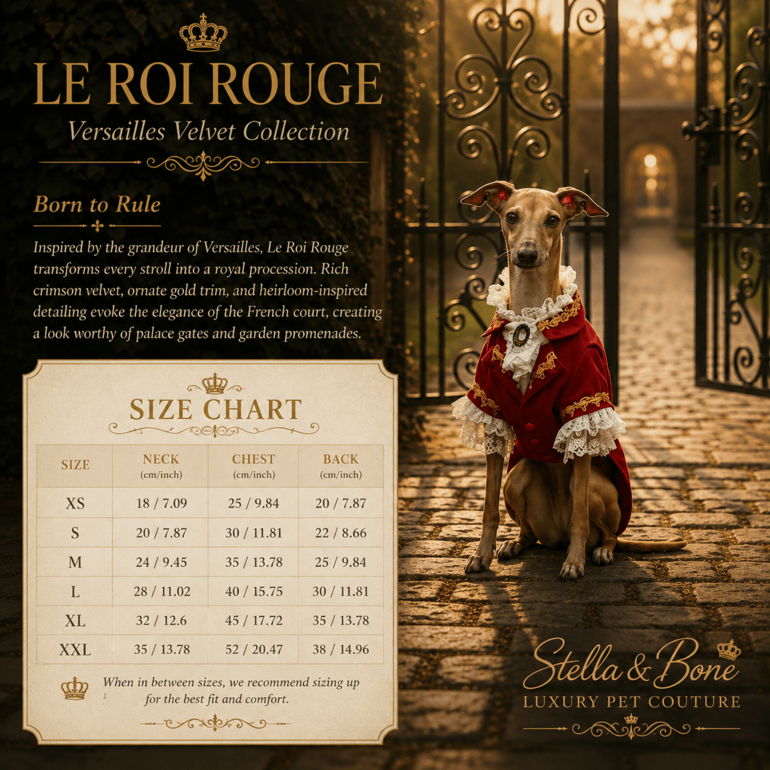 Le Roi Rouge size chart XS through XXL with a custom option