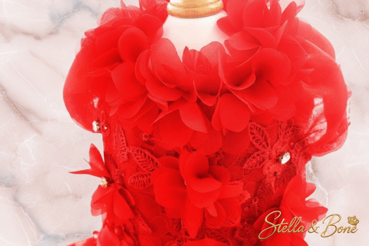 La Rouge | Ruby Crystal Couture Dog Gown | Stella & Bone