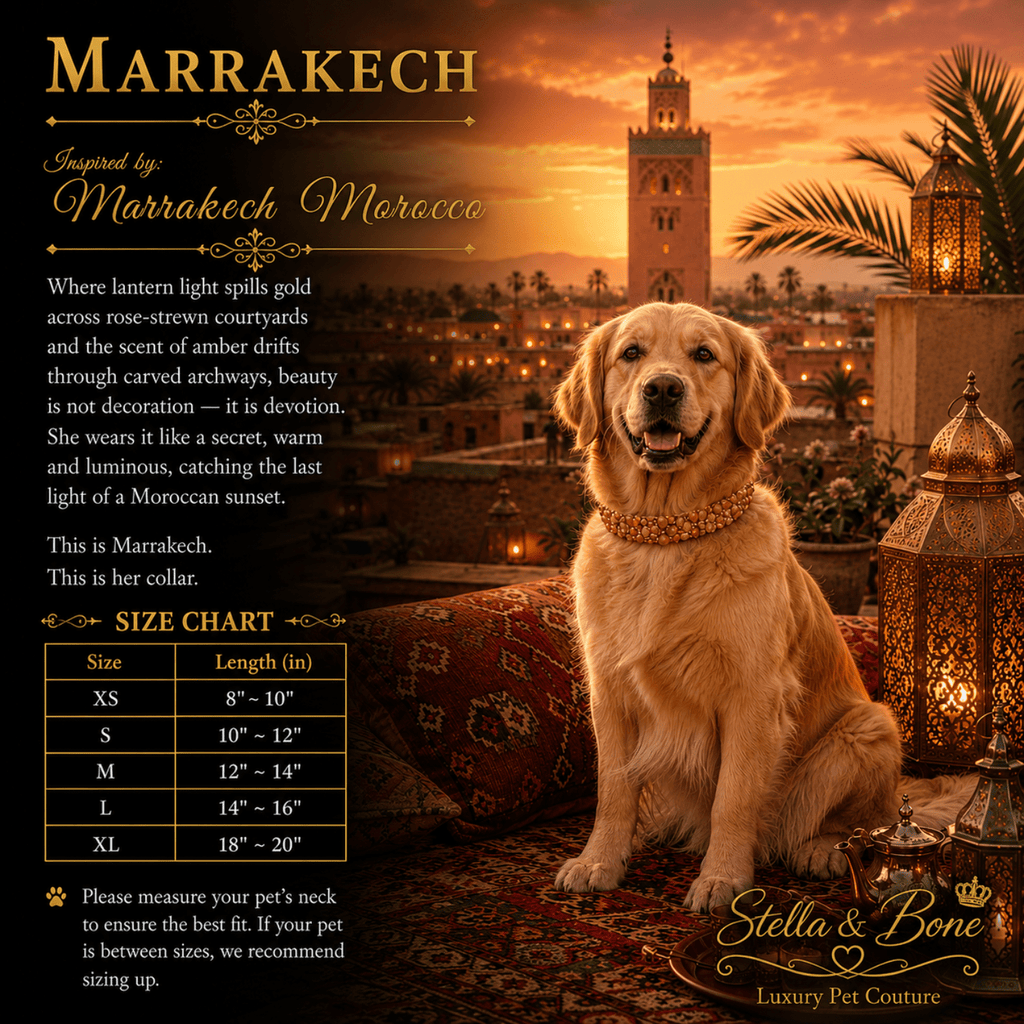 Golden retriever dog wearing Marrakech, sits in an ornate Moroccan-style setting with lanterns. Curated by Stella & Bone