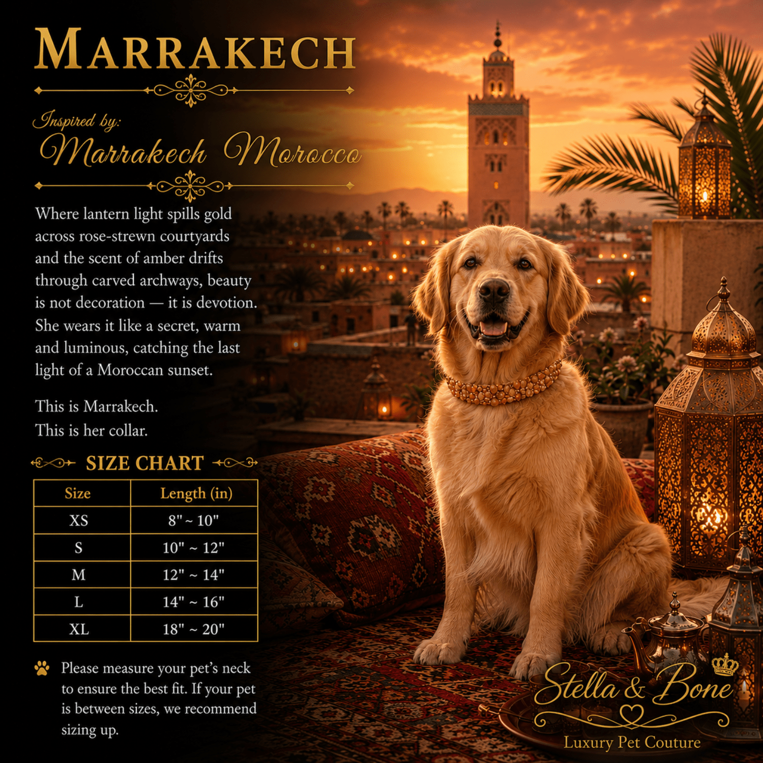 Golden retriever dog wearing Marrakech, sits in an ornate Moroccan-style setting with lanterns. Curated by Stella & Bone