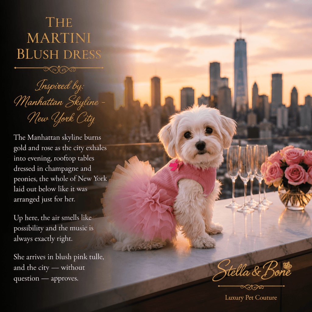 The Martini Blush Dress Satin Tutu Dogs — Maltese in blush pink satin tutu dog dress for special occasions on NYC rooftop