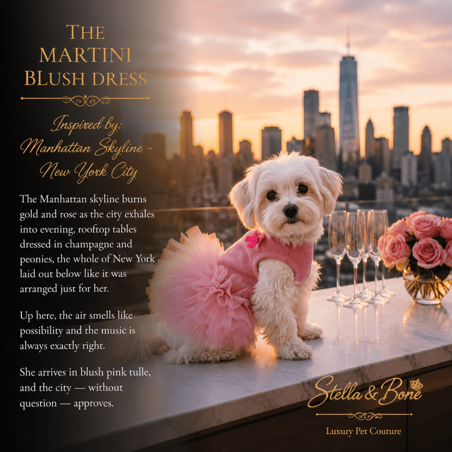 The Martini Blush Dress Satin Tutu Dogs — Maltese in blush pink satin tutu dog dress for special occasions on NYC rooftop