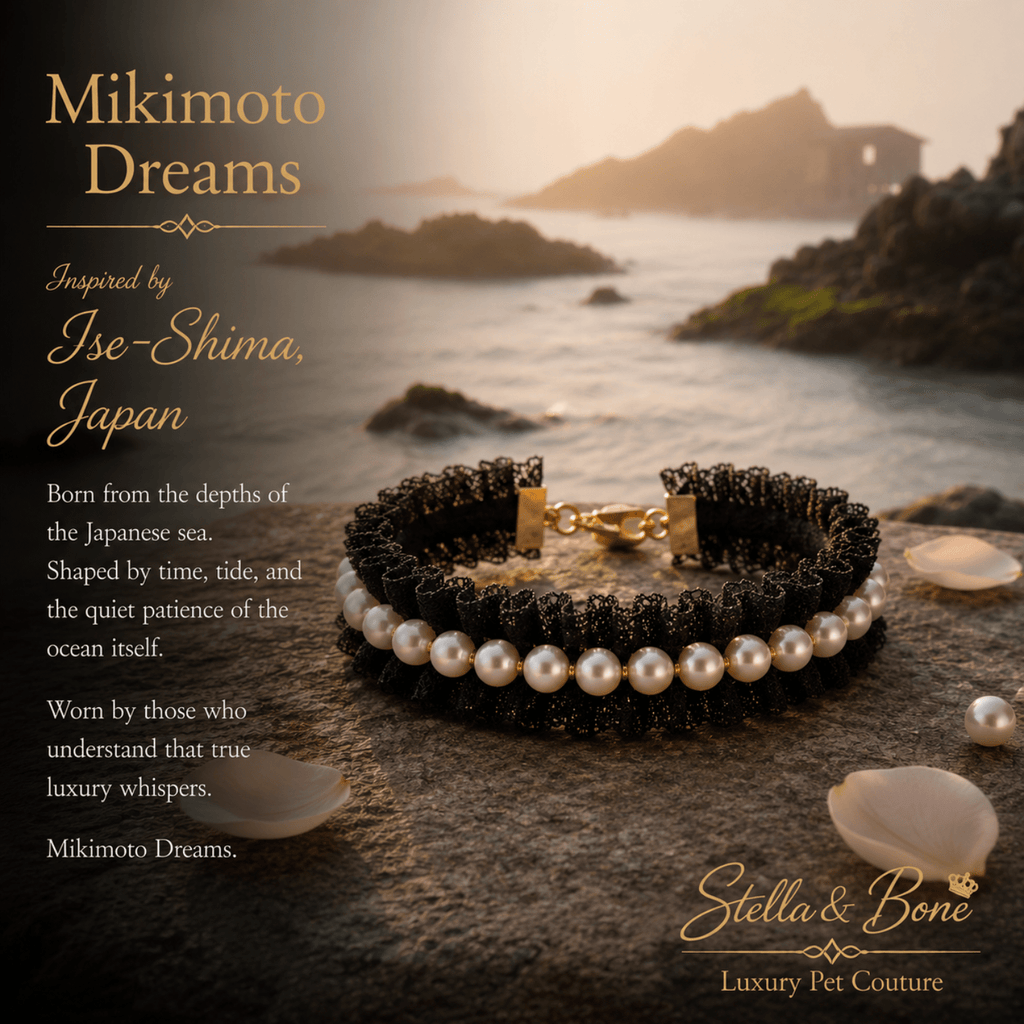 A black beaded dog collar, Mikimoto Dreams,  row of white faux pearls and a gold clasp, displayed on a rock with ocean waves