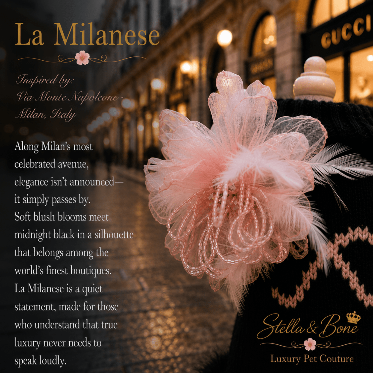 Close-up of La Milanese, pet dress against a blurred nighttime scene with warm lights and a Gucci storefront in Milan, Italy