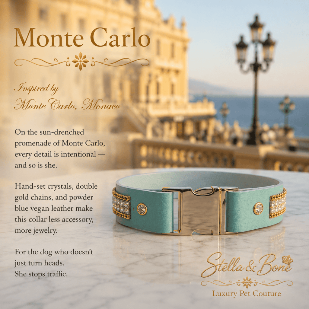 Monte Carlo powder blue dog collar with gold buckle crystals and double chain detail on marble ledge Casino de Monte Carlo