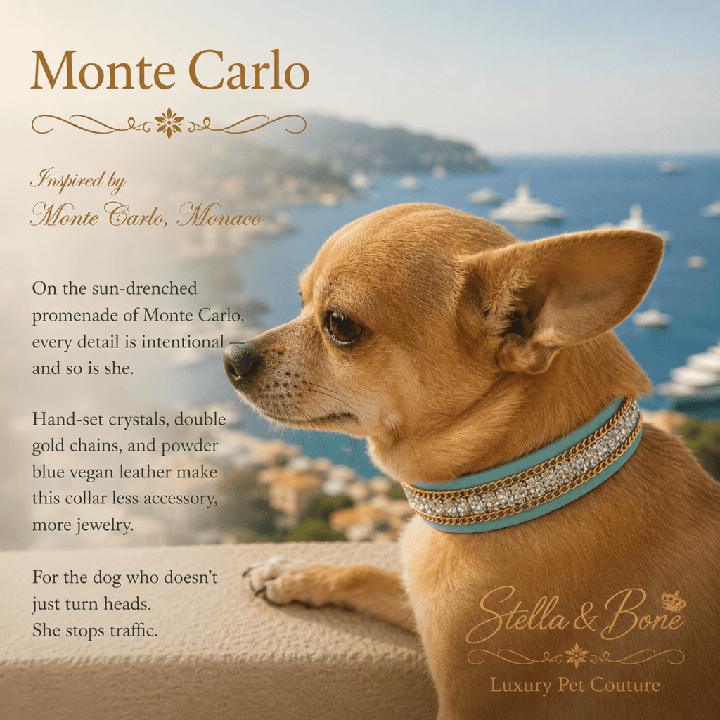Fawn Chihuahua profile wearing Monte Carlo crystal and gold chain dog collar overlooking Monaco coastline with yachts