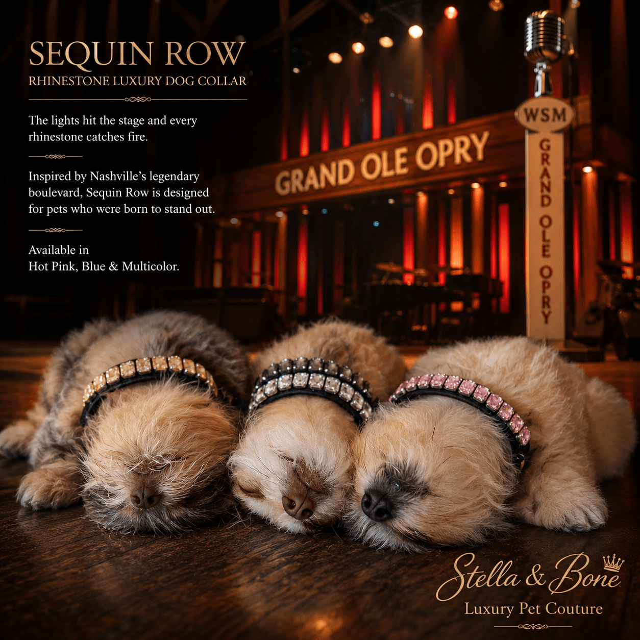 Sequin Row | Rhinestone Luxury Dog Collar | Stella & Bone