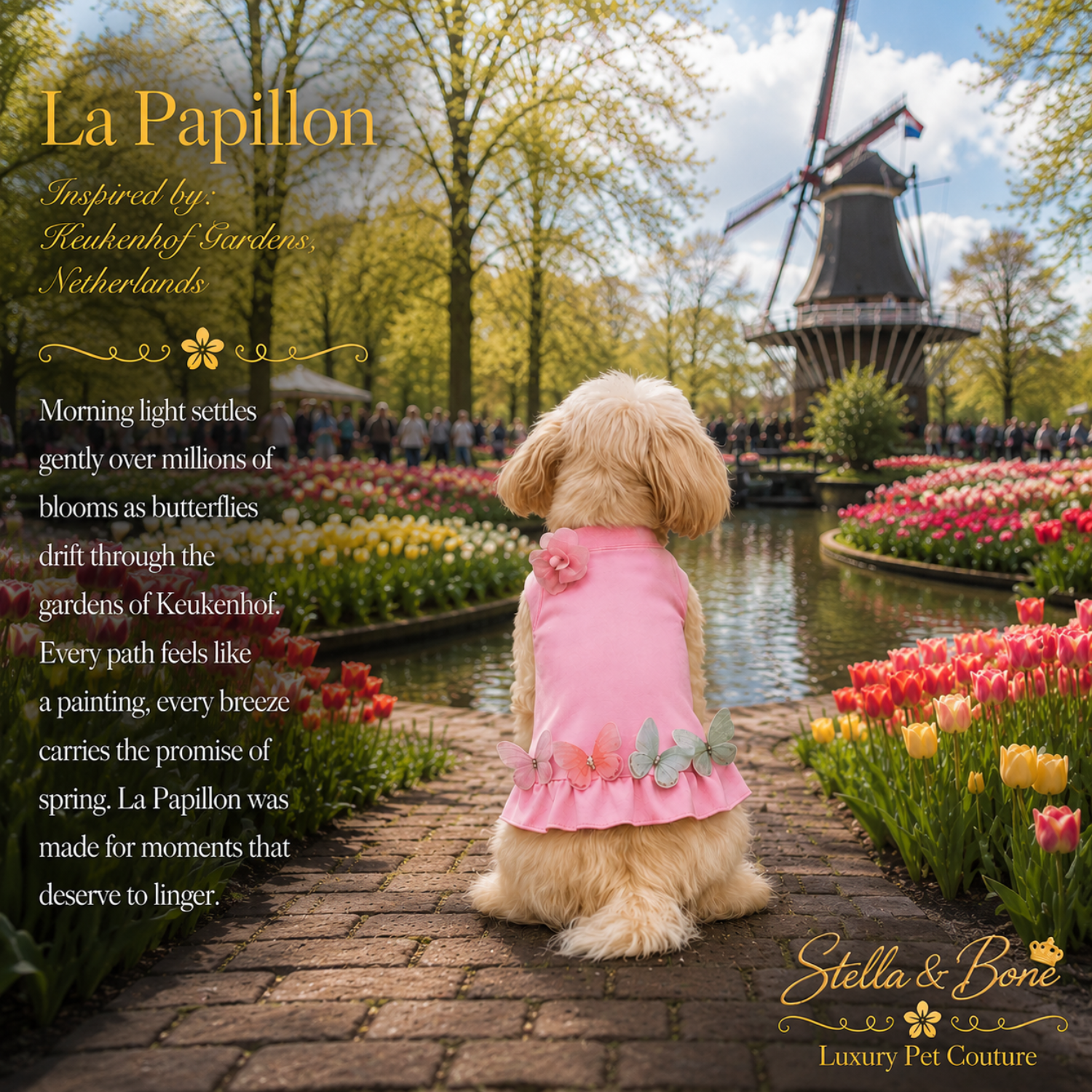 A small fluffy dog stands on a stone path in a Dutch garden, wearing La Papillon, pink ruffled pet dress. Keukenhof Gardens