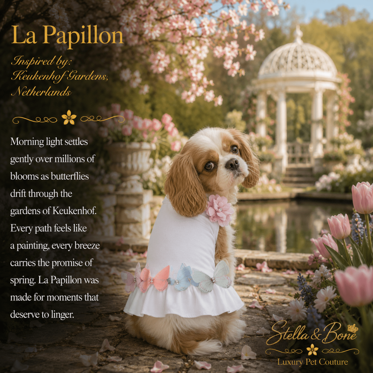 A Cavalier King Charles Spaniel dog wearing La Papillon, white dress with pastel butterfly accents sits in a garden