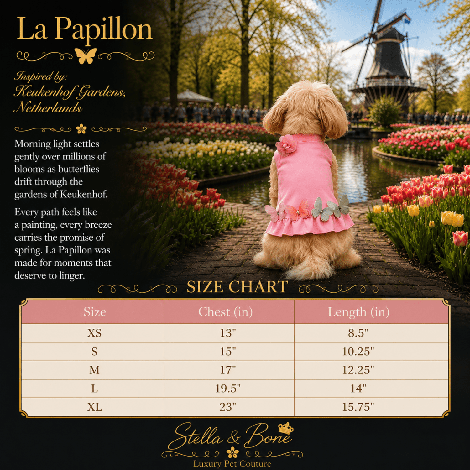 A dog  size chart for La Papillon, featuring a small fluffy dog wearing a pink dress. Birthday and special occasion.