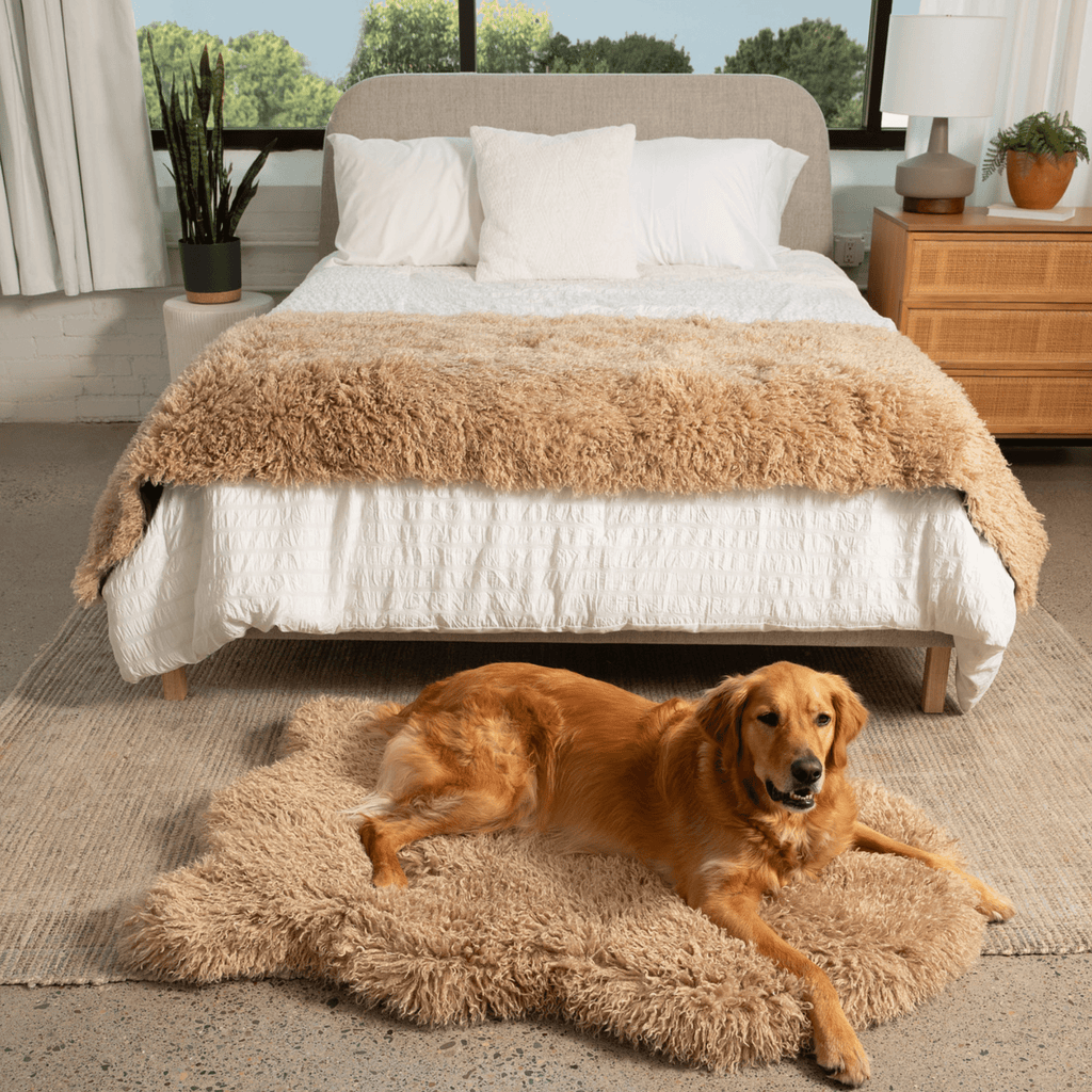 Luxe Faux Fur Orthopedic Dog Bed | Plush Sheep | Stella & Bone - Stella & Bone
