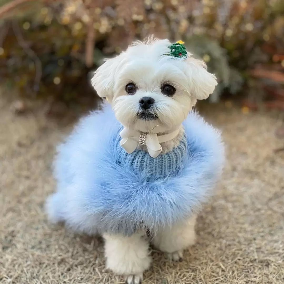 Cloud Feather Couture Sweater  Dogs & Cats | Stella & Bone