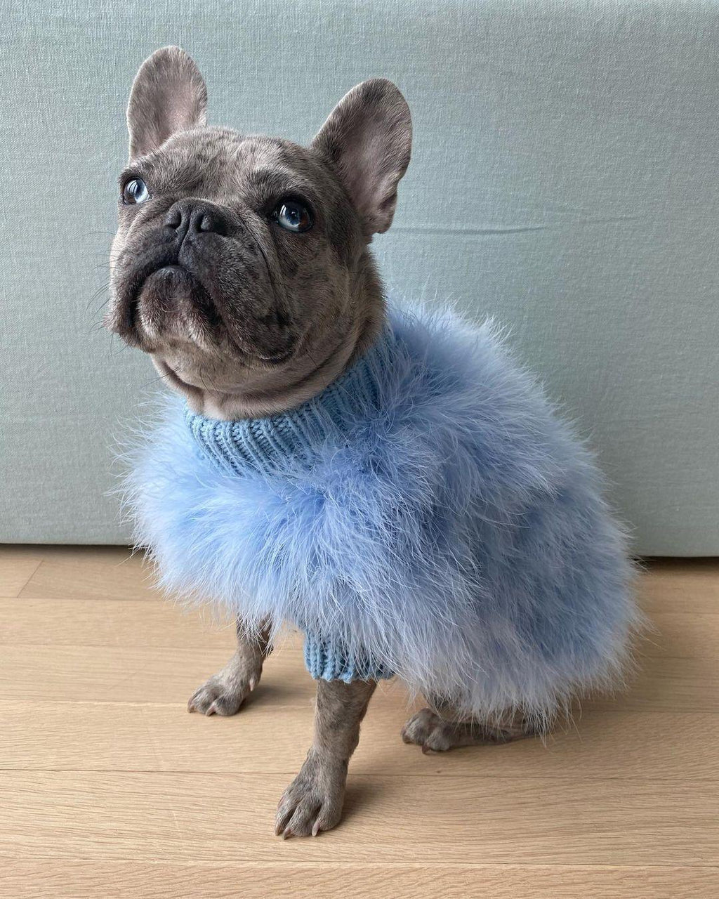 Cloud Feather Couture Sweater | Dogs & Cats | Stella & Bone