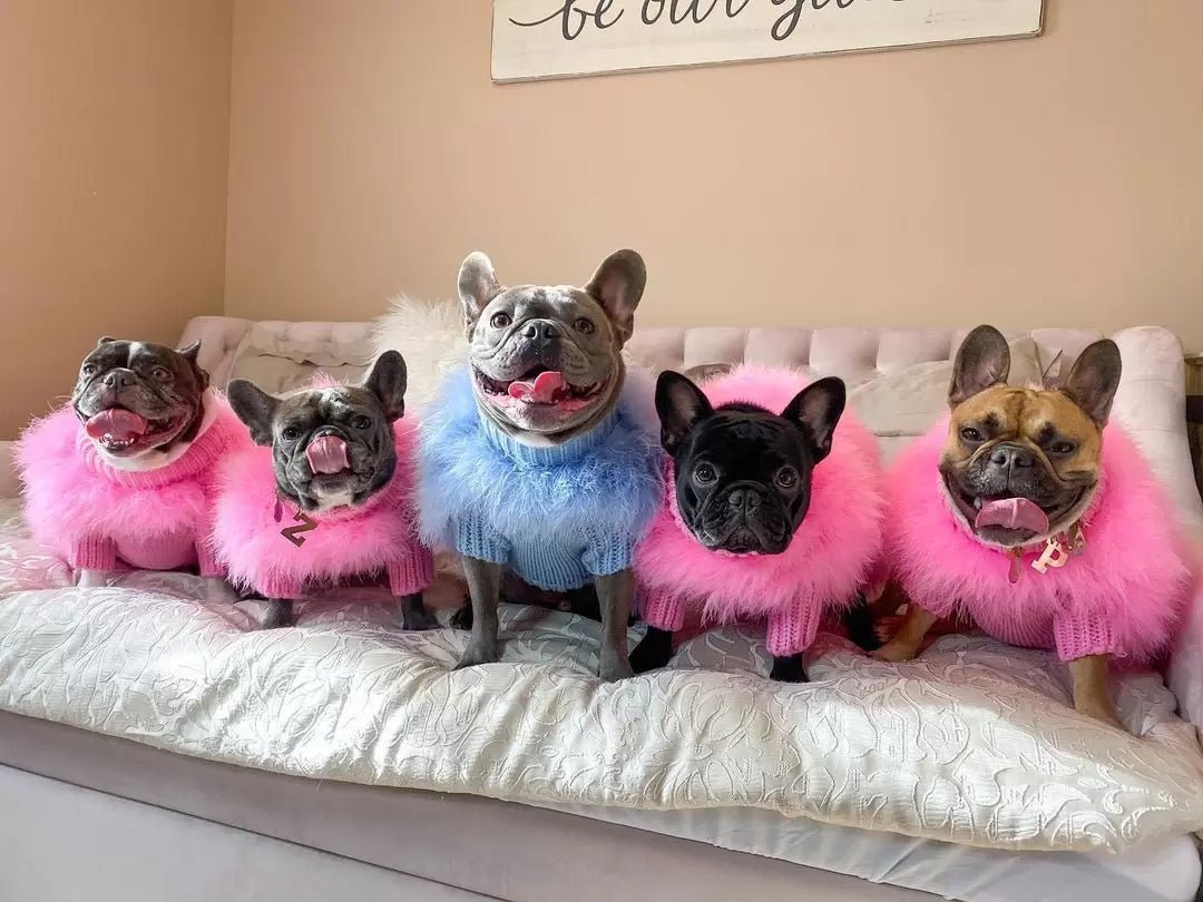 Cloud Feather Couture Sweater | Dogs & Cats | Stella & Bone