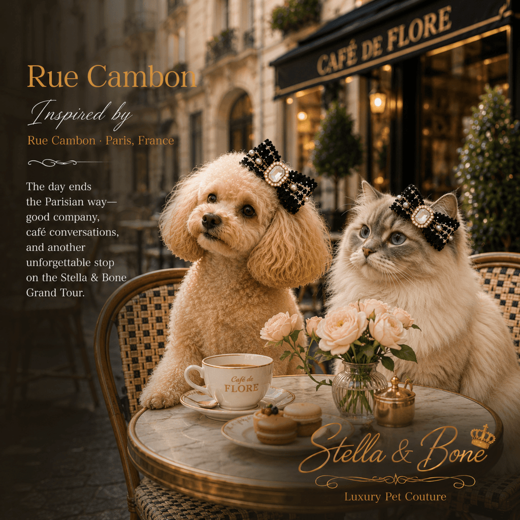 Two pets wearing Rue Cambon, tweed and pearl bow barrette. Perfect for a day out and special occasions