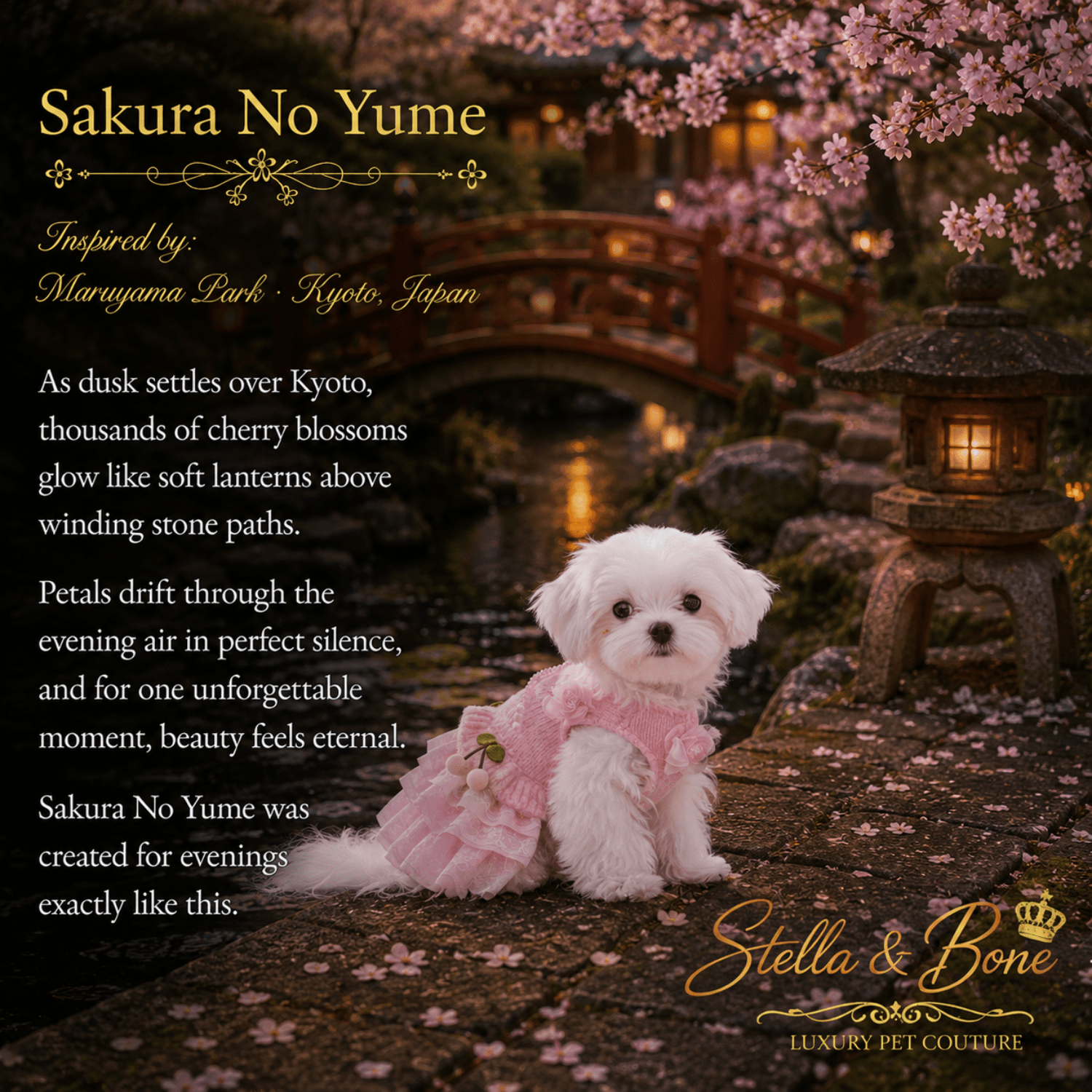 Sakura No Yume Cherry Blossom Knit Dress — Maltese in pink cherry blossom knit  pet dress on Kyoto stone path at dusk
