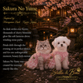 Sakura No Yume Cherry Blossom Knit Dress — Persian cat and Maltese in pink knit pet dress for weddings in Kyoto garden