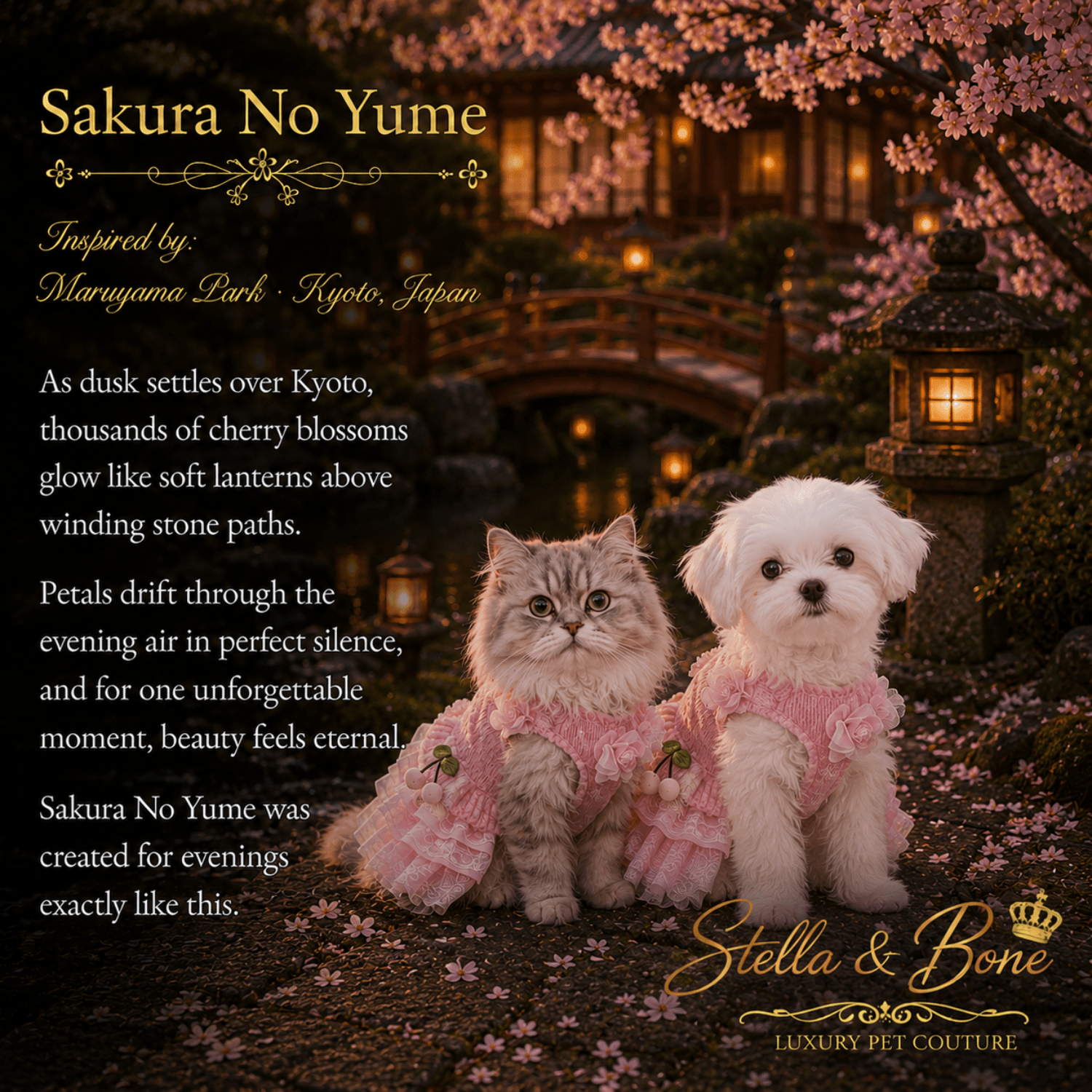 Sakura No Yume Cherry Blossom Knit Dress — Persian cat and Maltese in pink knit pet dress for weddings in Kyoto garden