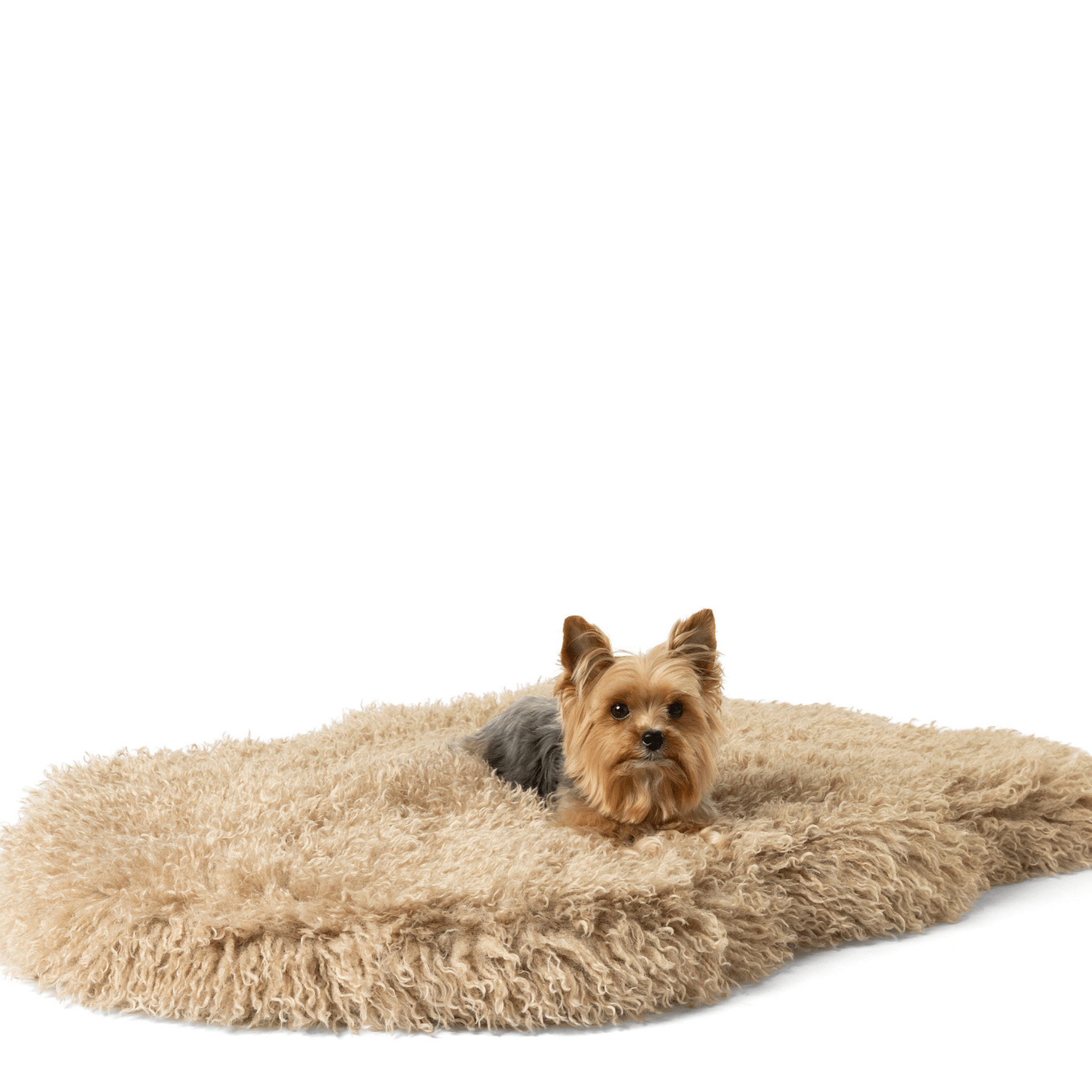 Luxe Faux Fur Orthopedic Dog Bed | Plush Sheep | Stella & Bone - Stella & Bone