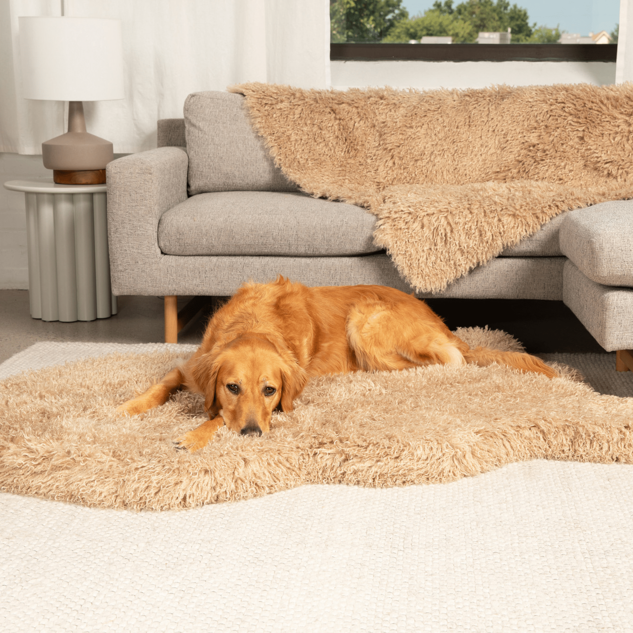 Luxe Faux Fur Orthopedic Dog Bed | Plush Sheep | Stella & Bone - Stella & Bone