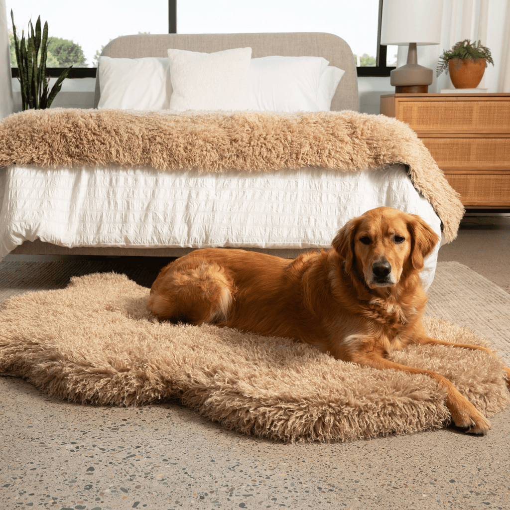 Luxe Faux Fur Orthopedic Dog Bed | Plush Sheep | Stella & Bone - Stella & Bone