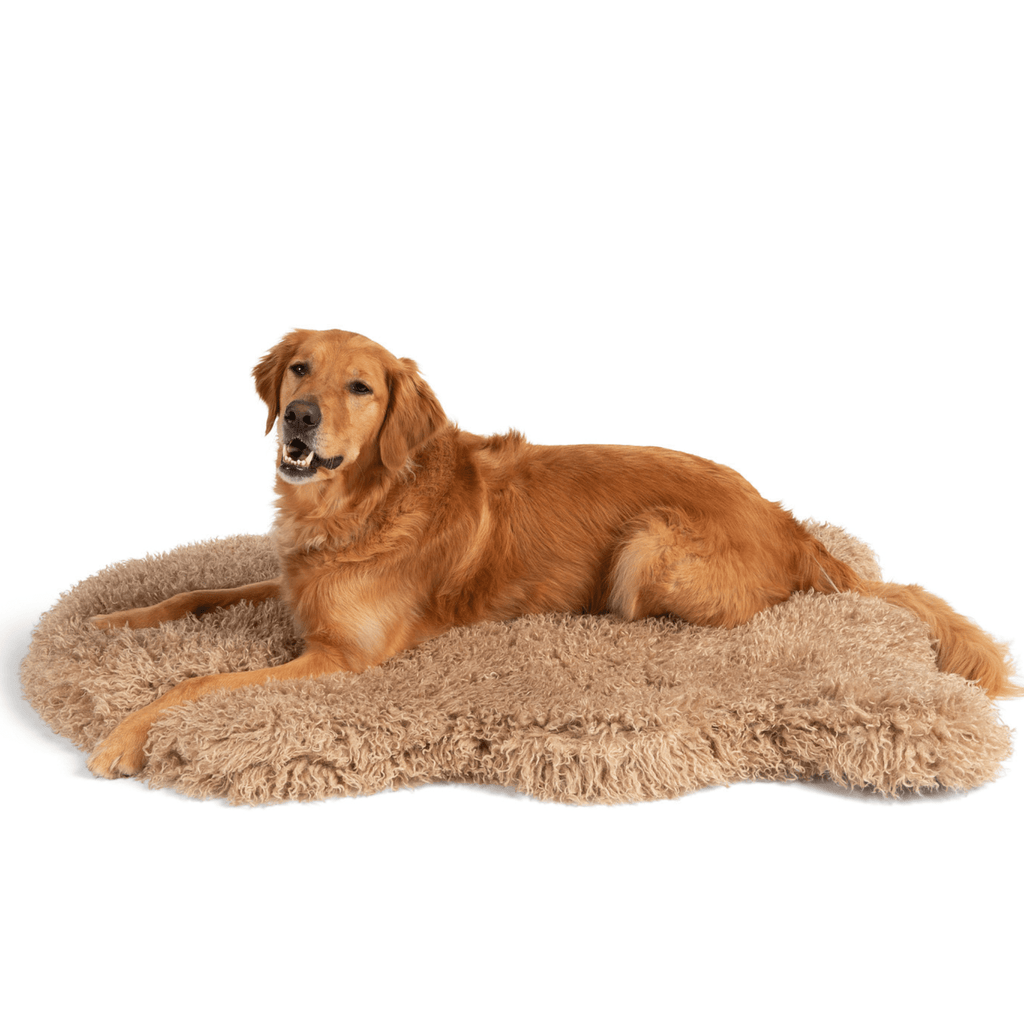 Luxe Faux Fur Orthopedic Dog Bed | Plush Sheep | Stella & Bone - Stella & Bone