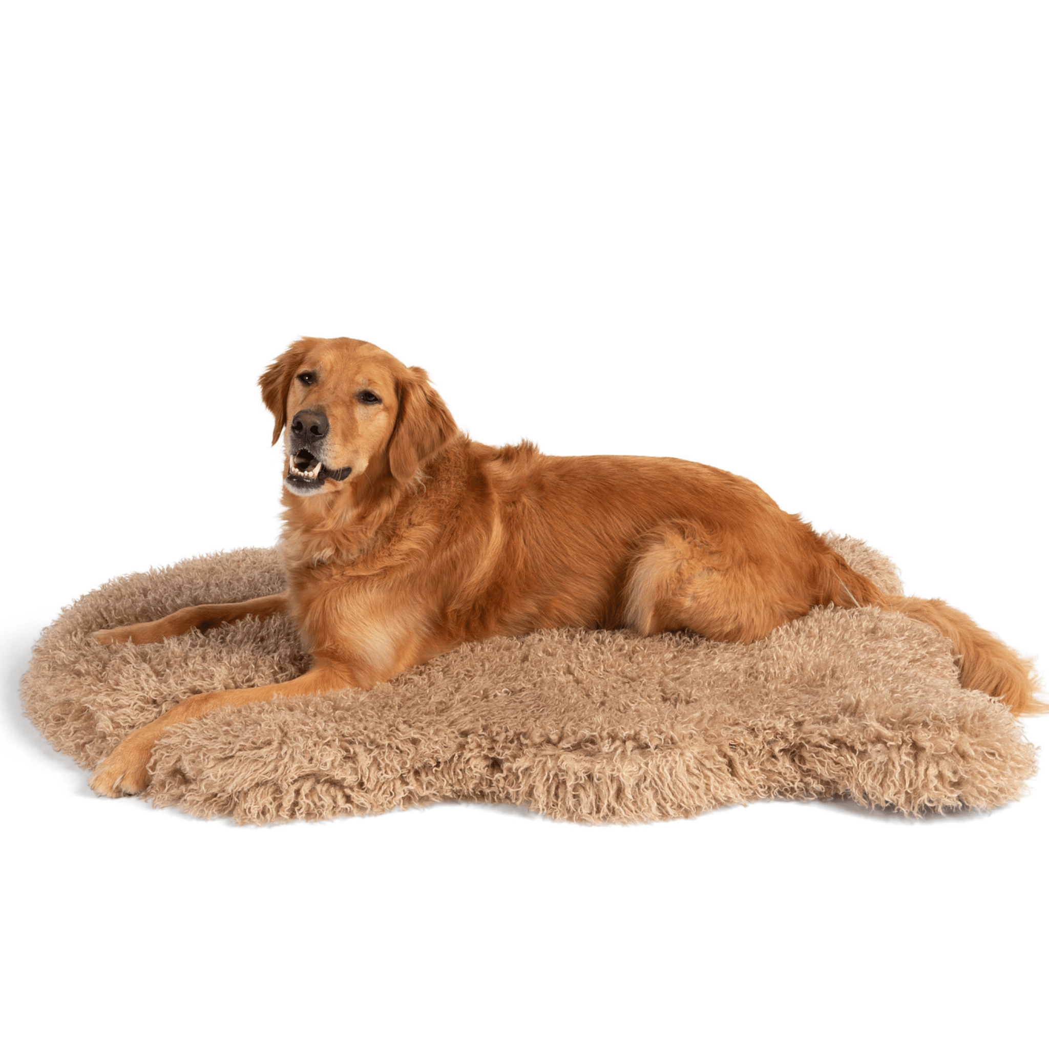 Luxe Faux Fur Orthopedic Dog Bed | Plush Sheep | Stella & Bone - Stella & Bone