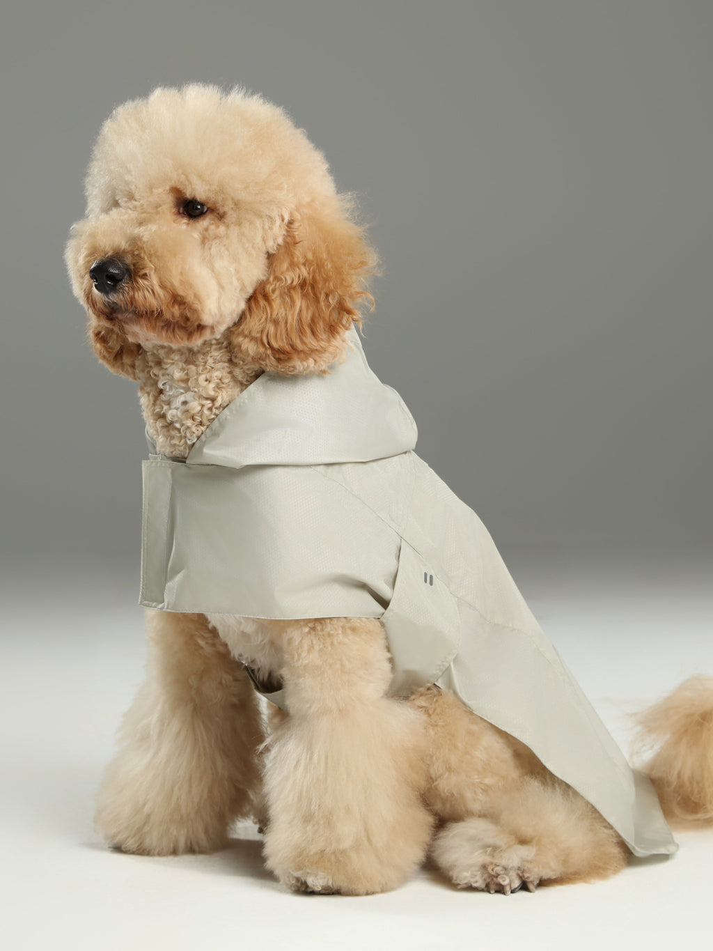 Minimalist Rain Jacket for Dogs & Cats | Beige | Dogs & Cats | Stella & Bone