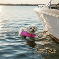 Dog Life Jacket | Mermaid & Classic Styles | Stella & Bone