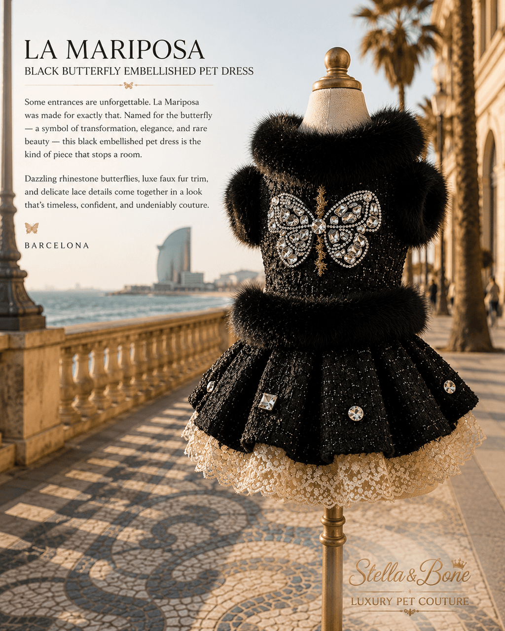 La Mariposa | Black Butterfly Embellished Pet Dress | Stella & Bone