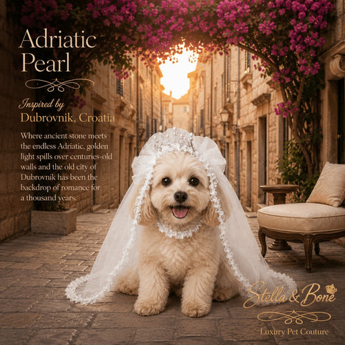 Adriatic Pearl dog bridal veil with a tiara worn by a small white dog sitting on a stone street in Dubrovnik Croatia.