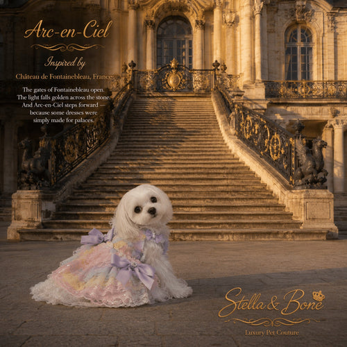 Arc-en-Ciel pastel dog dress inspired by Chateau de Fontainebleau worn by a small white Maltese dog on grand palace stairs.