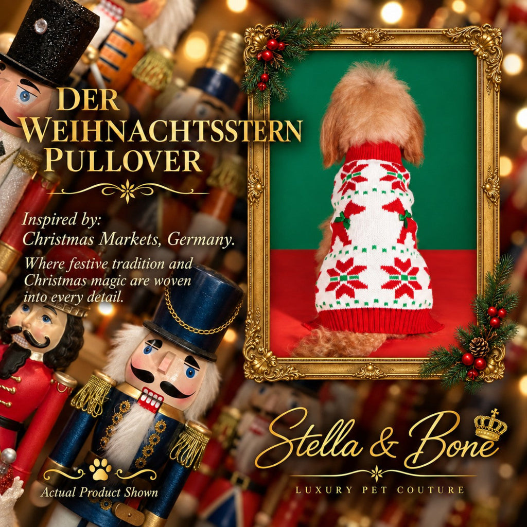 Back view of Der Weihnachtsstern Pullover, pet Christmas sweater with dog, poinsettias