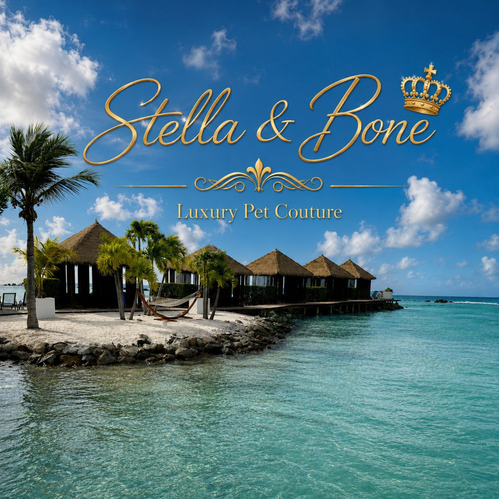 Stella & Bone logo with a backdrop of One Happy Island, Aruba. Luxury Pet Couture.