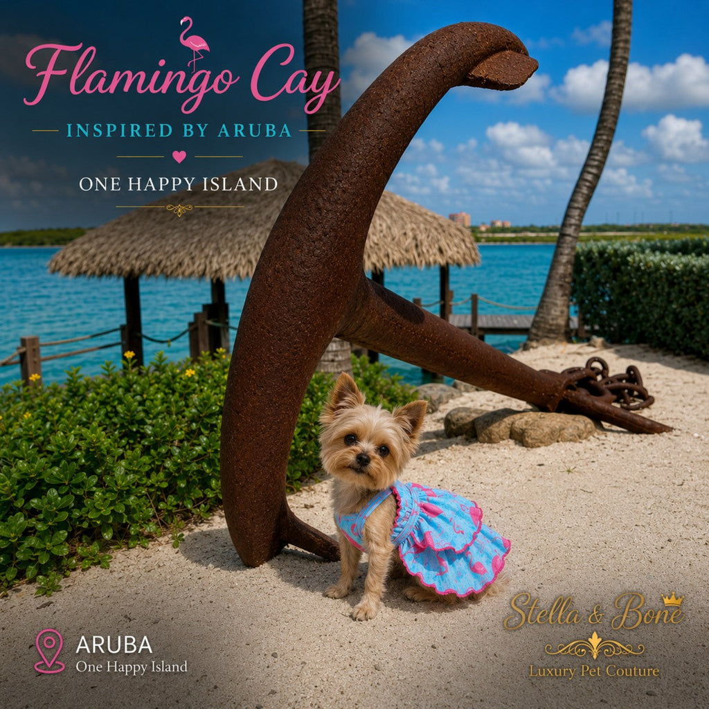 Yorkie in a Flamingo Cay luxury tropical flamingo print dog dress next to a beach anchor in Aruba
