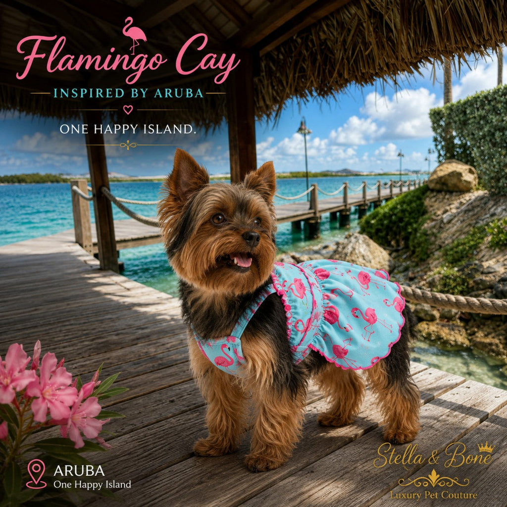 Flamingo Cay luxury dog dress in light blue with pink flamingo print, worn by a small Yorkie on a wooden pier in Aruba.