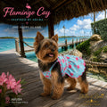 Flamingo Cay luxury dog dress in light blue with pink flamingo print, worn by a small Yorkie on a wooden pier in Aruba.