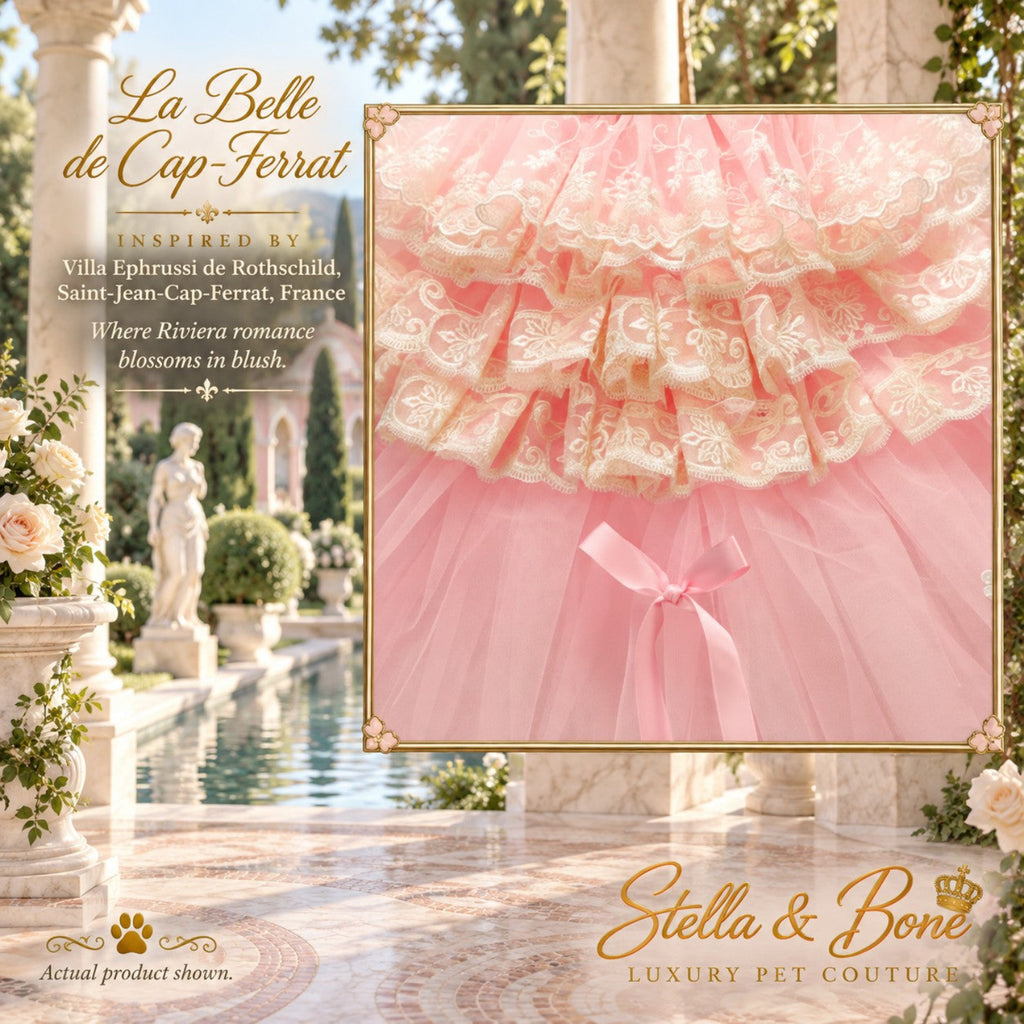 La Belle de Cap-Ferrat luxury dog gown close up of embroidered lace tiers and pink tulle fabric detailing in France